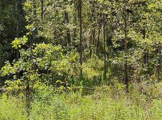 7276 N Nicosia Point, Dunnellon, FL 34433
