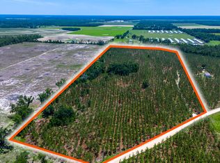 0 SE Coolidge Ave, Lee, FL 32059