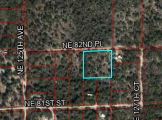 12790 NE 82nd Pl #405, Bronson, FL 32621