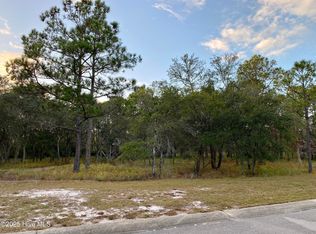 654 Loreauville Dr SW LOT 178, Supply, NC 28462