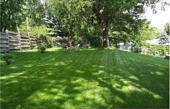 Plenty of Open Space For Outdoor Fun