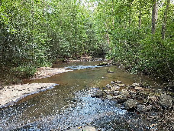 dillard creek