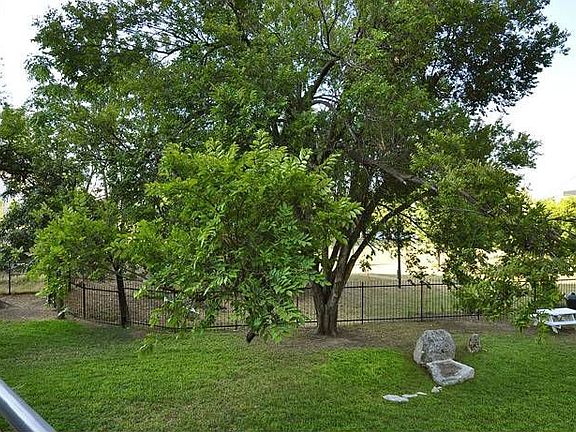 Yard/Trail from Patio