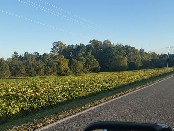 3rd image of Lot #1 Triplett Road