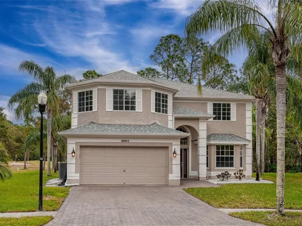 16004 Shinnecock Dr, Odessa, FL 33556