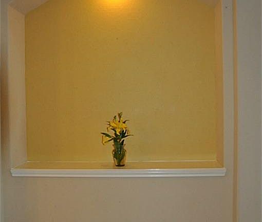 4th image of 943 Napoli Ct