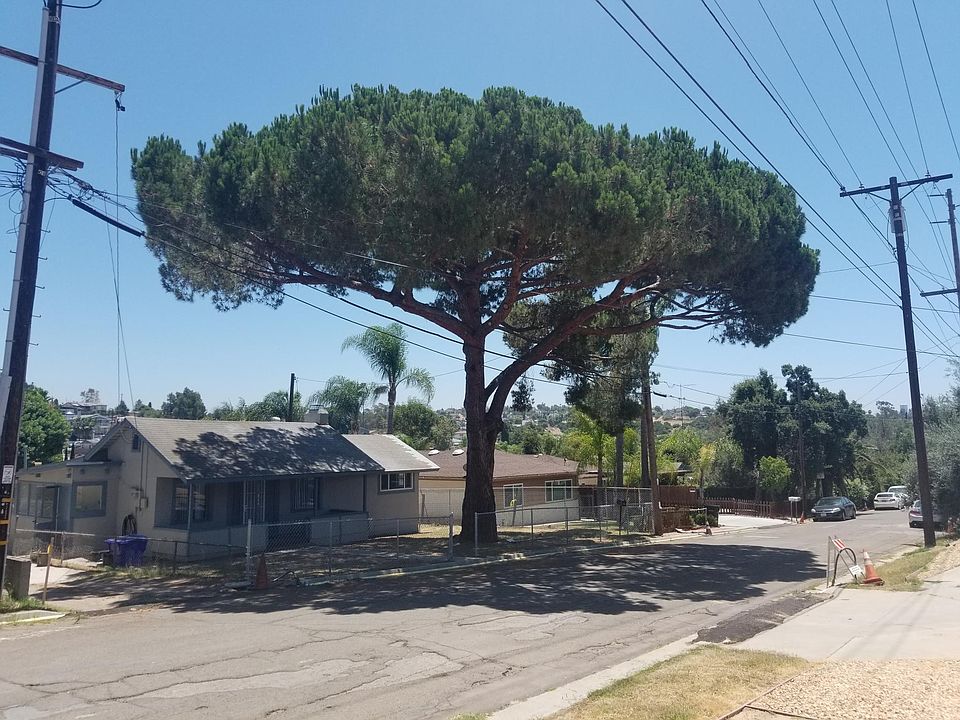 Large beautiful tree shades home.