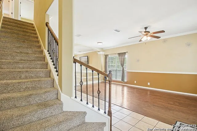 606 Mesa Ln — Photo 7