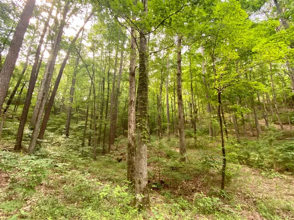 1243 Onyx Ct, Ranger, GA 30734