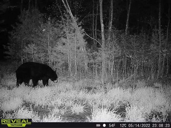 4th image of N6452 12th Ave
