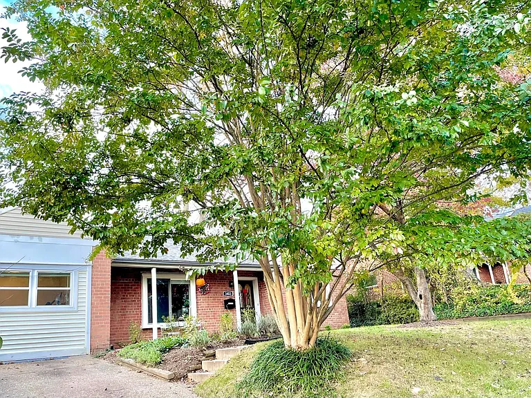 Front yard and driveway.