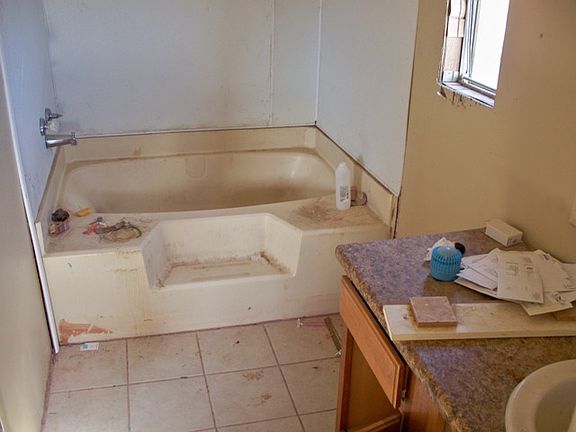 Master Bath Garden Tub