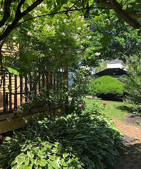 28 Blossom St #3 — Photo 3