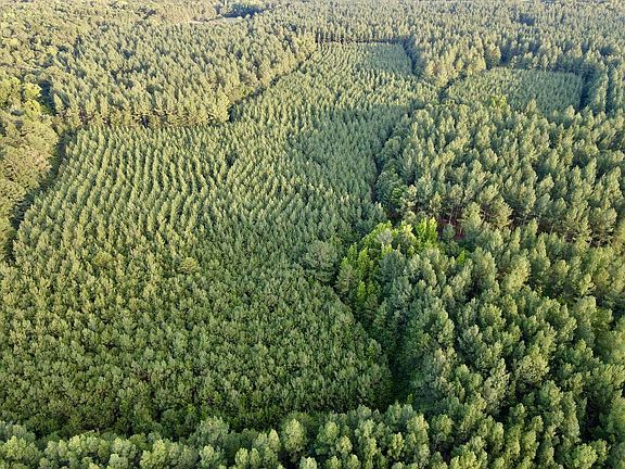 2nd image of 240 Ac Hwy #49