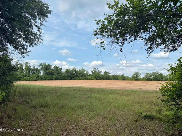 0 Delta Ln, Marianna, FL 32448