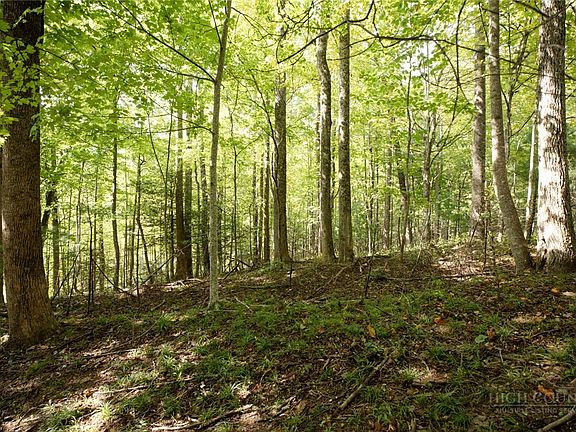3rd image of Lot 111R Powder Horn Estates Drive
