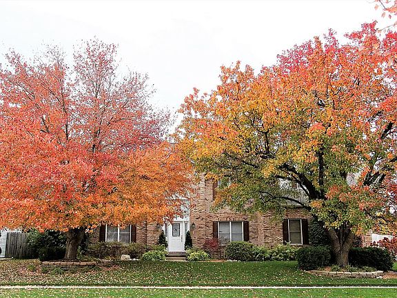 Front of house - Fall