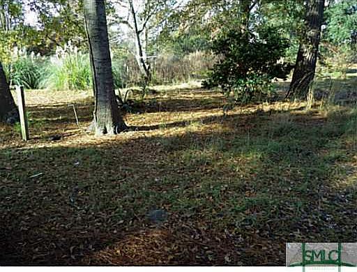 2nd image of lot 31 Cedar Street