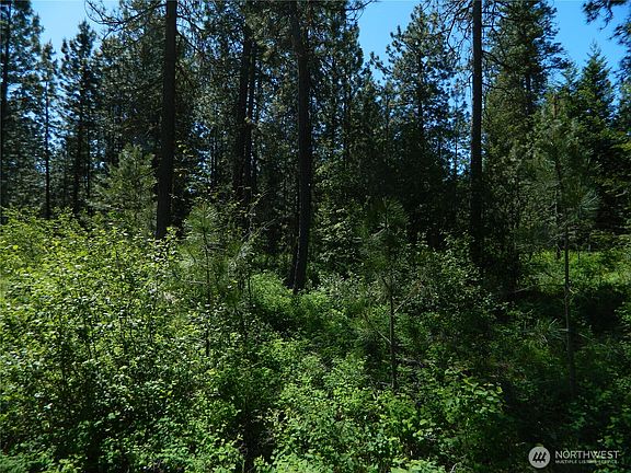4th image of 111 TBD Murphy Ranch Road