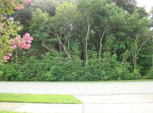 327 S Lakeview Dr, Lake Helen, FL 32744