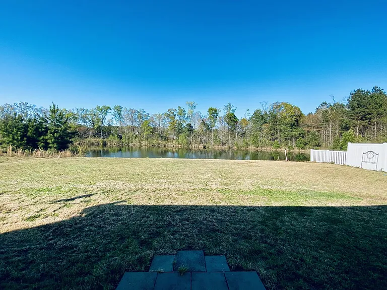 Backyard_03222023