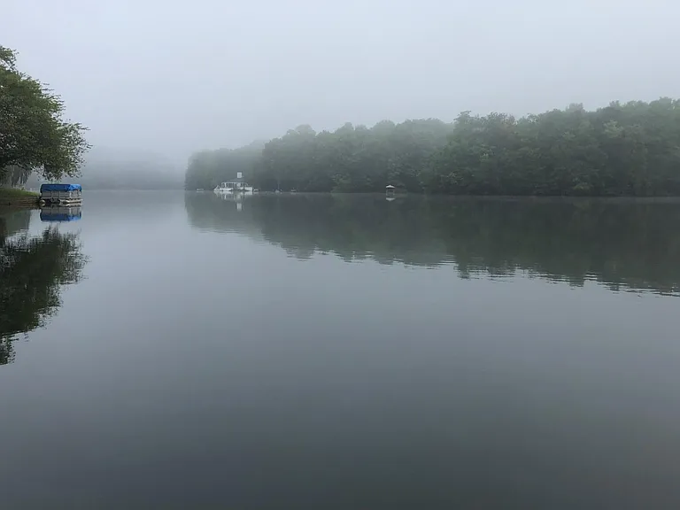 Lake view from the deck boat