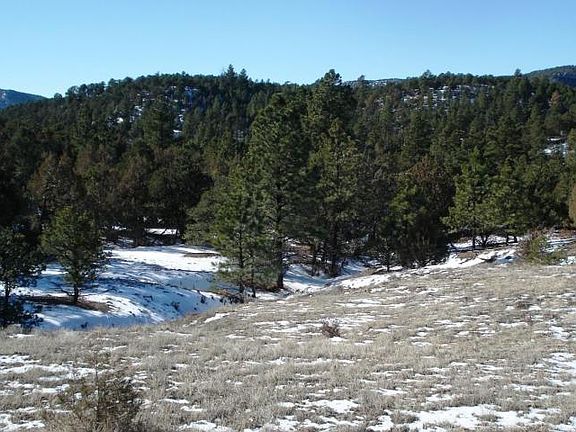2nd image of Unassigned County Rd 55.4