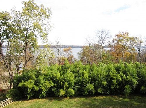 4th image of 7301 Park Terrace Dr