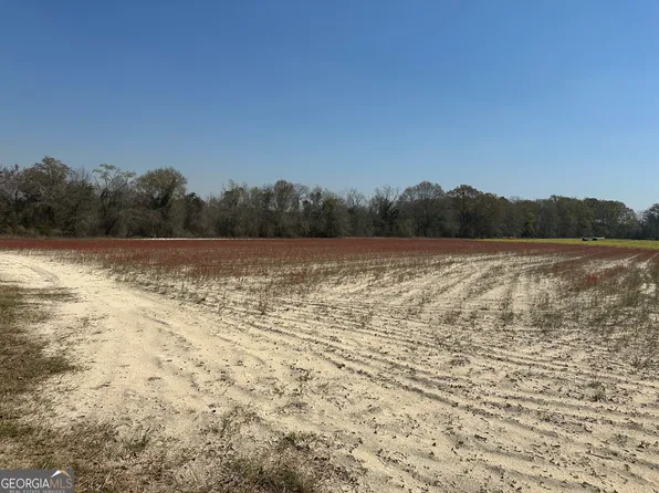 0 Seaburn Vickery Rd Tract 1, Statesboro, GA 30461