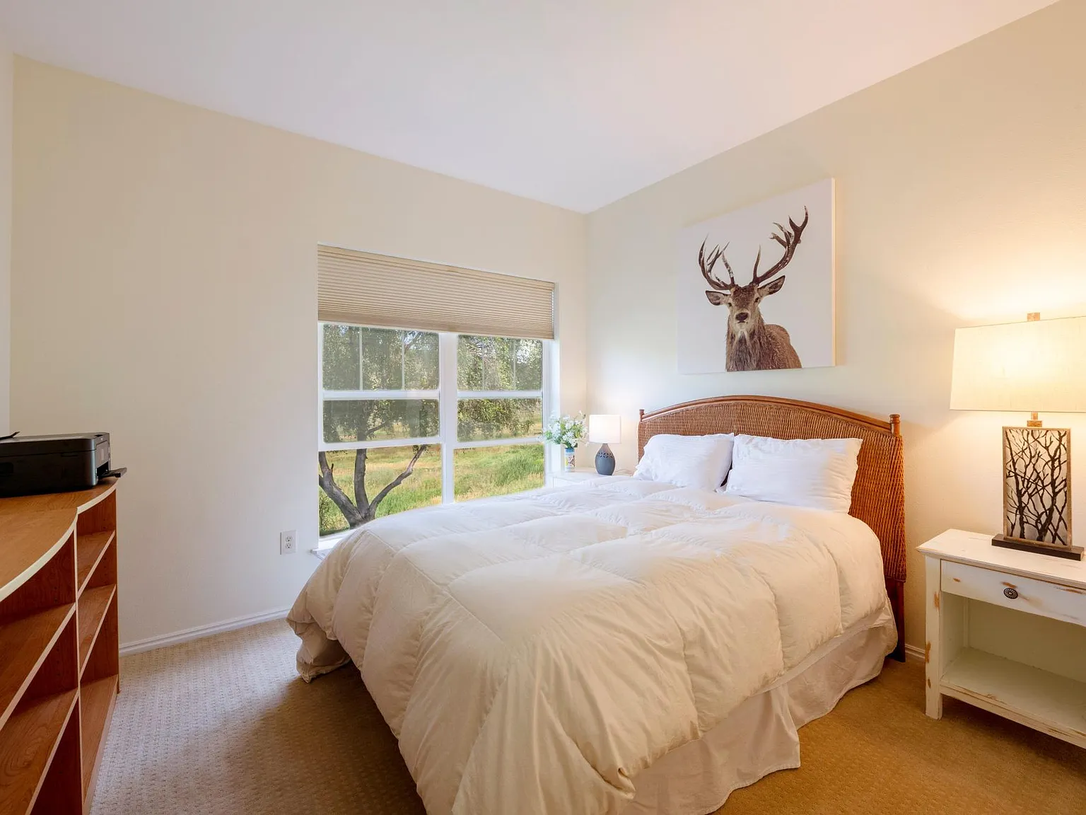 3 bed, 1229 sqft, $4,600 — Photo 3