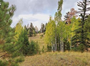 1875 County Road 421, Florissant, CO 80816