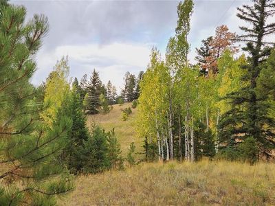 1875 County Road 421, Florissant, CO, 80816