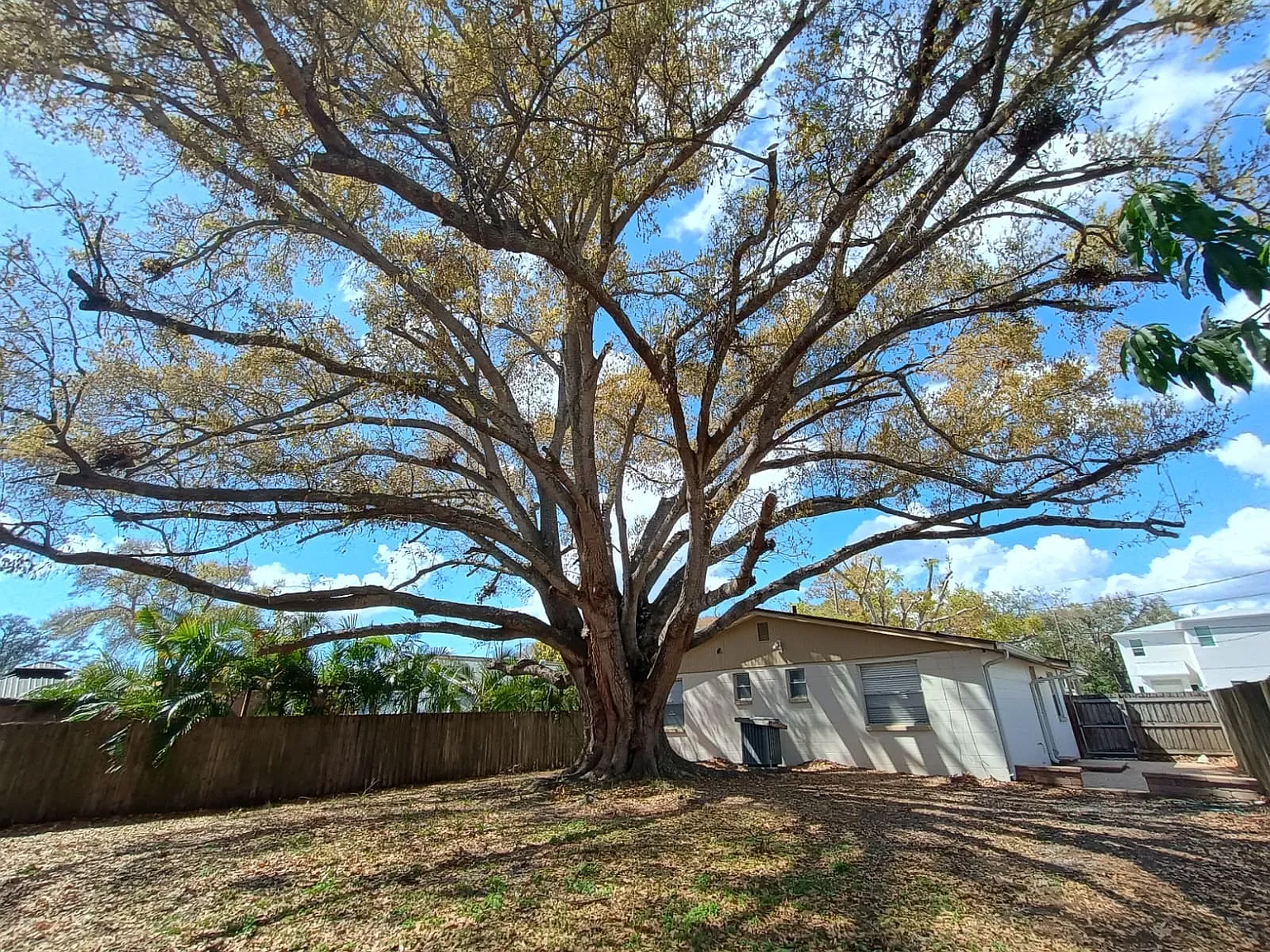 3 bed, 1.5 bath, 1120 sqft, $2,400 — Photo 4
