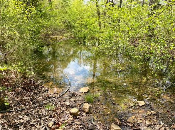 (undisclosed Address), Scotland, AR 72141