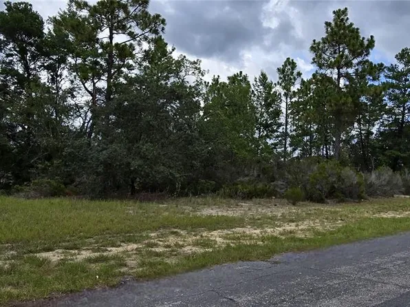 2899 W Santana Dr Lot 18, Dunnellon, FL 34433