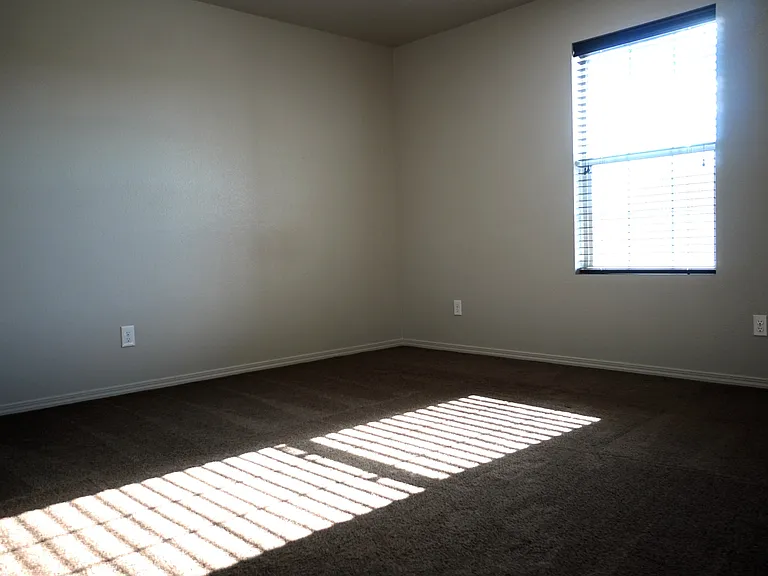 10686 Ice Springs St — Photo 15