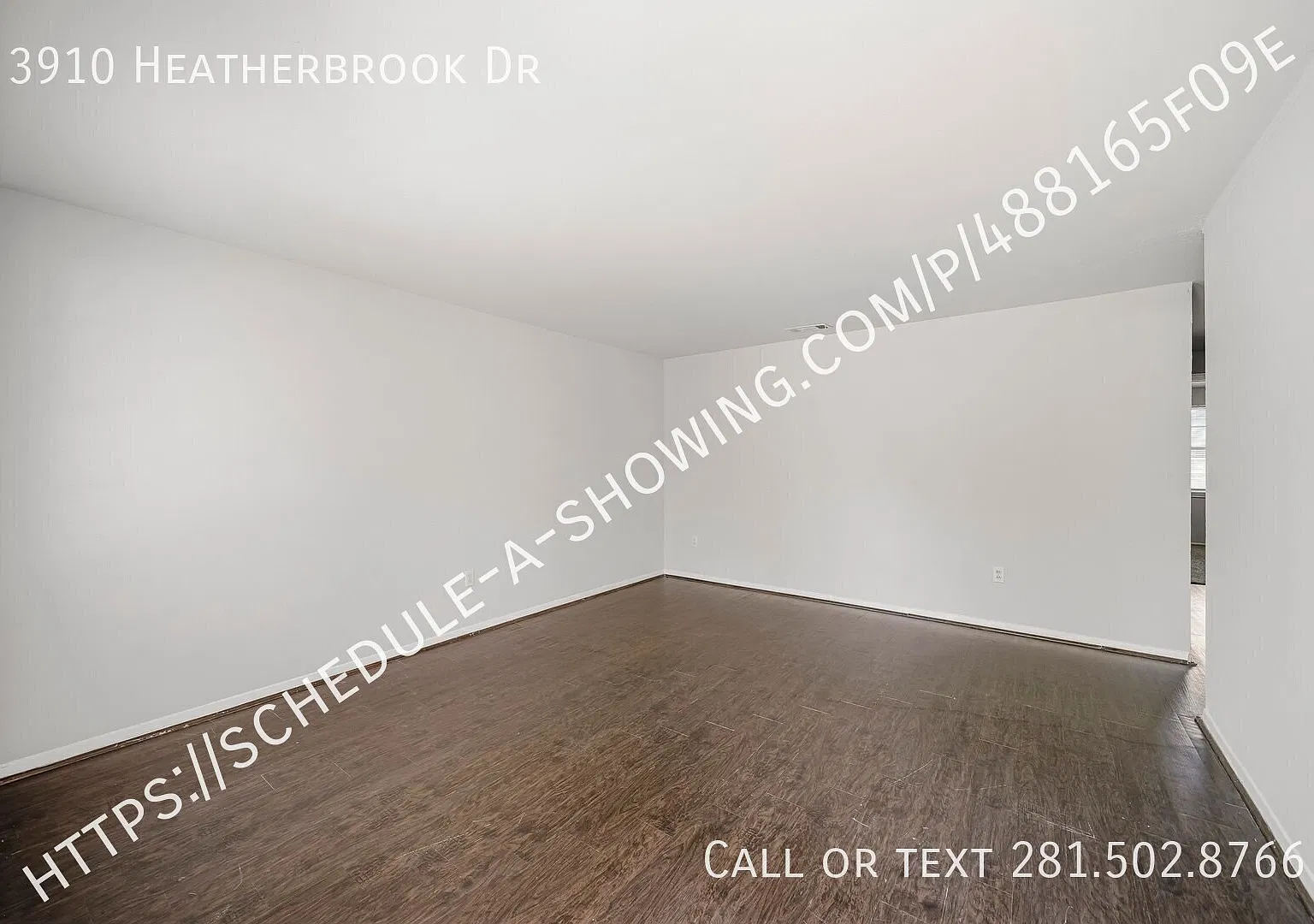 Special Available! — Photo 2