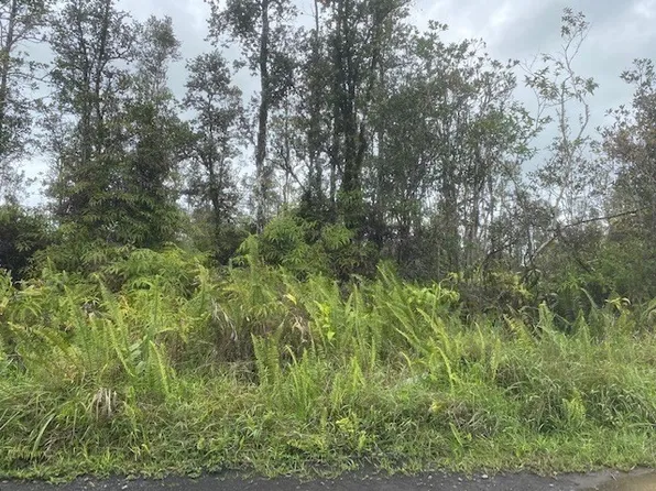 Road 4 Kea #Io, Kurtistown, HI 96760