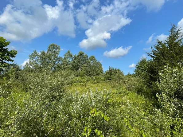 76th St, Covert, MI 49043