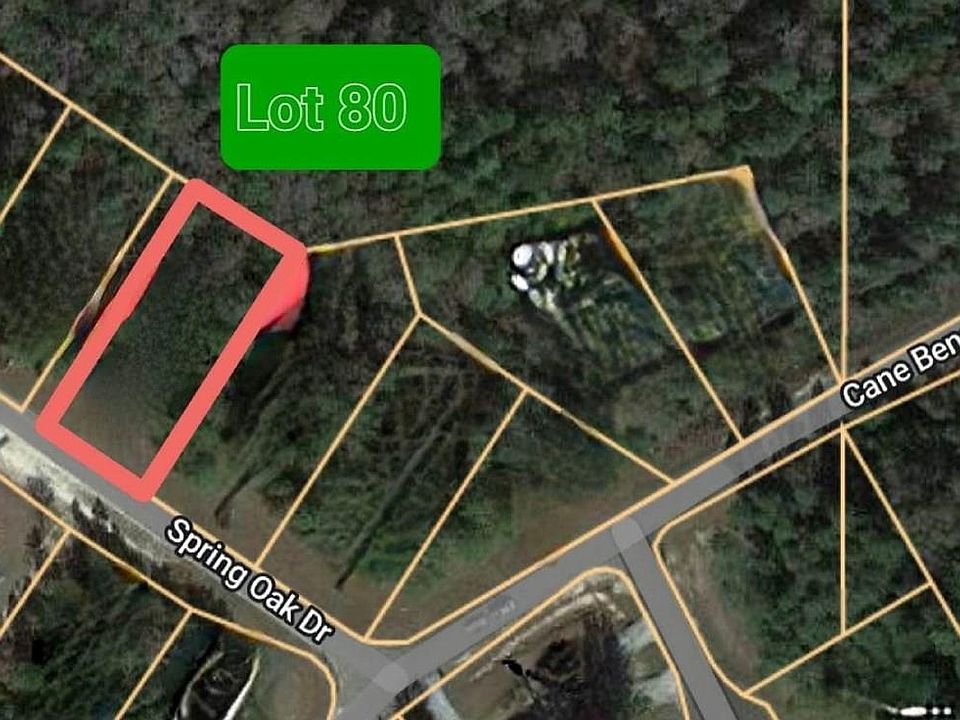 2nd image of 80 Spring Oak Dr