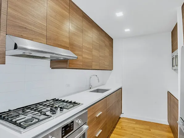 169 N 10th St #5B, Brooklyn, NY 11211