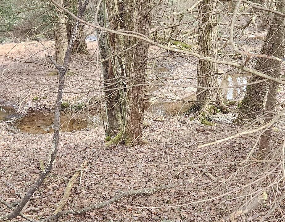 1st image of 4 Maple Summit Rd