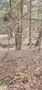 4 Maple Summit Rd, Shunk, PA, 17768