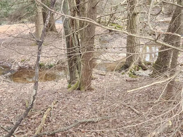 4 Maple Summit Rd, Shunk, PA 17768