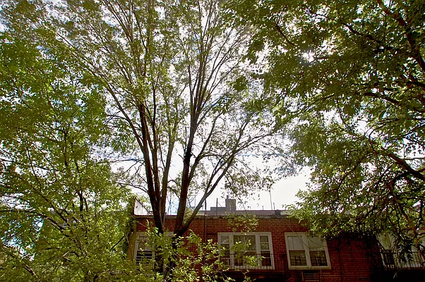 Rented by Compass | media 8