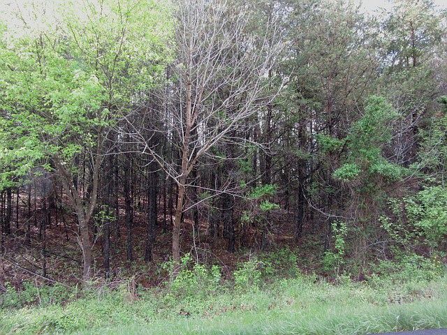 1st image of Lot 8 St. John Circle
