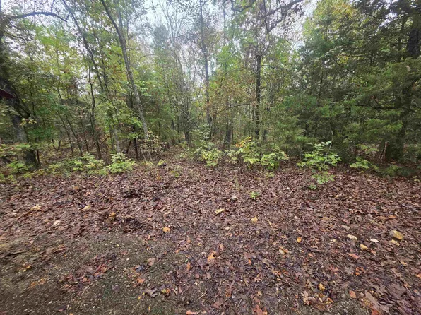 L-7 Olustee Trl #B, Ash Flat, AR 72513