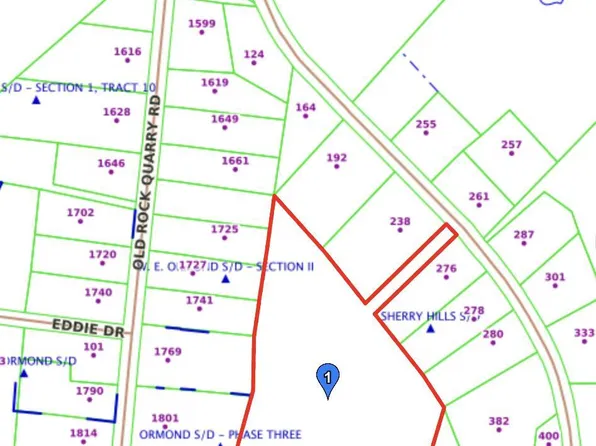 0 Old Cornwallis Road, Princeton, NC 27569