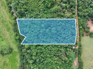 LOT 1 Morris Trl, Carnesville, GA 30521