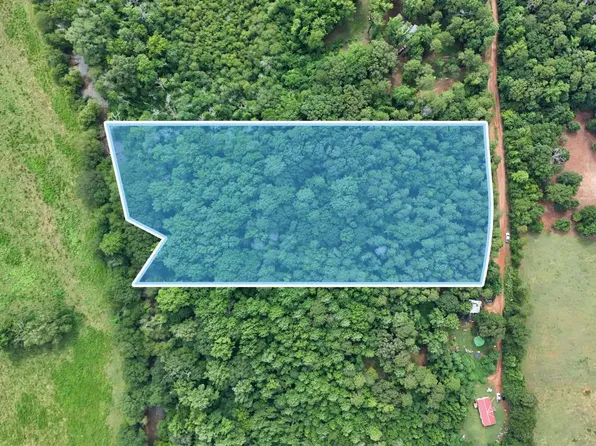 LOT 1 Morris Trl, Carnesville, GA 30521